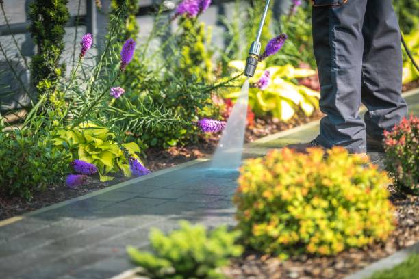 Best Dumpster Area Cleaning  in Fallsburg, NY